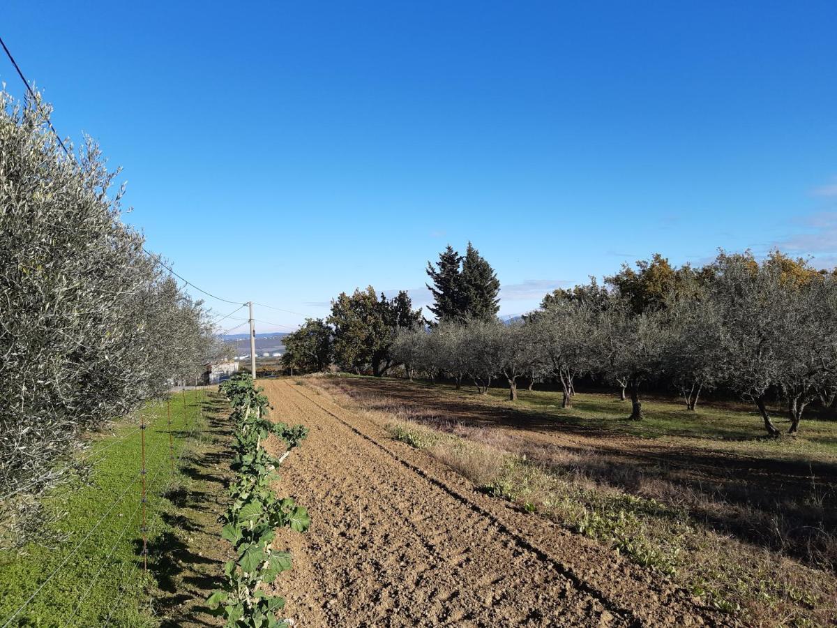Hisa Bepina Apartma